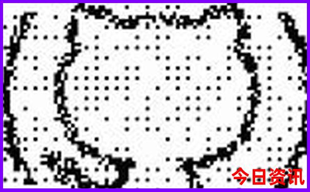 长白山夏天凉快吗